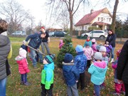 Výsadba u MŠ 2015 - sponzorováno firmou PAJR s.r.o.Vlkava